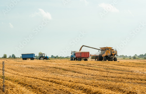 Unloading grains into truck by unloading auger. Combine harvesters cuts and threshes ripe wheat grain. Wheat harvesting on field in summer season. Process of gathering crop by agricultural machinery