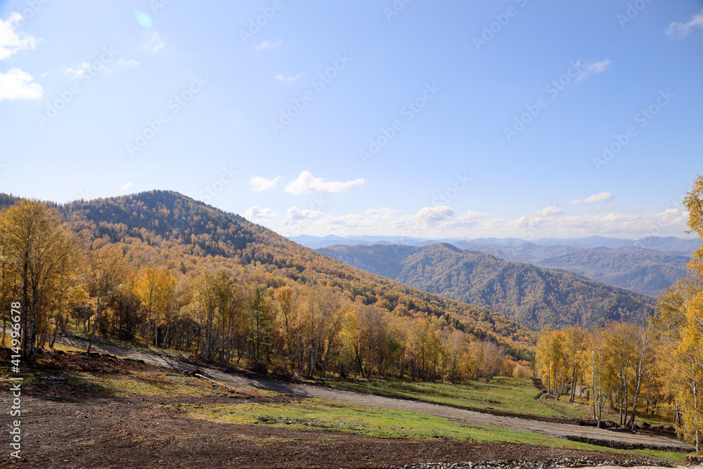 Forest and picturesque nature of the Altai Mountains