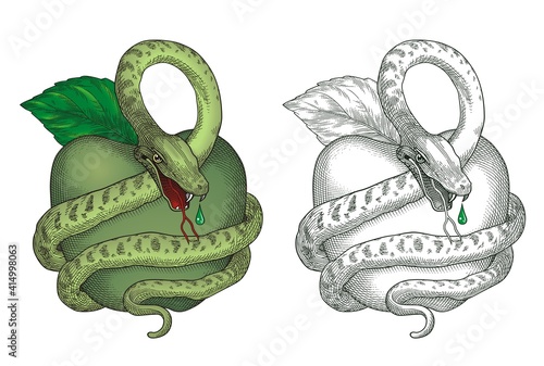 Green Apple and Snake Vector #1034