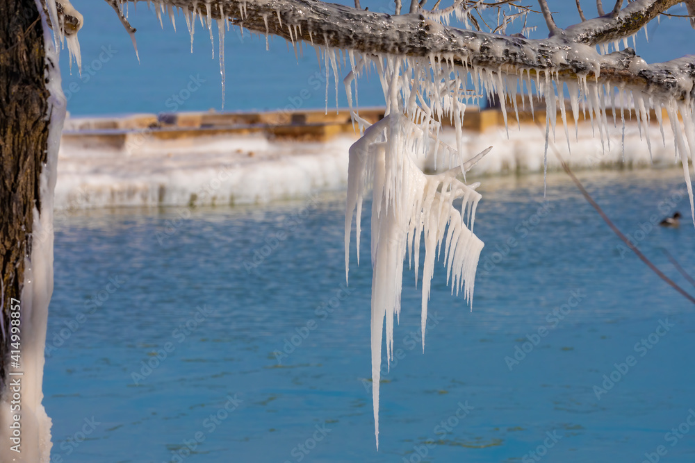 Fototapeta premium Ice icicles on tree branches on the shores of Lake Michigan