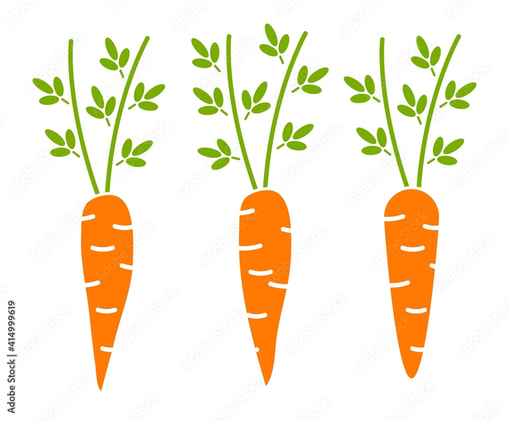 vector set of whole carrots with green top vector set of whole carrots with green top