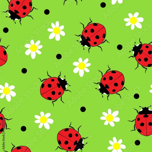 vector ladybug and camomile flower seamless pattern