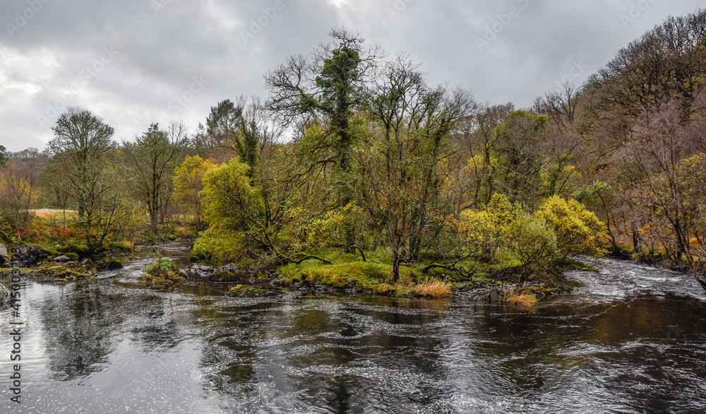 autumn forest and river in the mountains autumn forest and river in the mountains