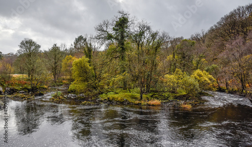 autumn forest and river in the mountains