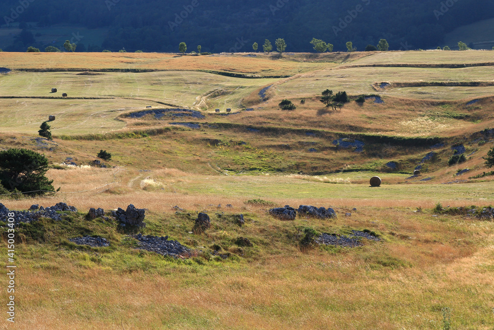 Fototapeta premium Hay bales in a meadow landscape near Vassieux en Vercors on a July evening (Drôme, France)