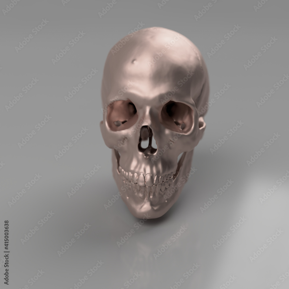 human skull head of a man, anatomical model in photo studio human skull head of a man, anatomical model in photo studio