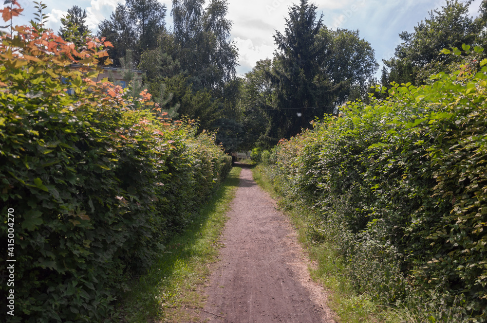 Naklejka premium Abandoned palace with a piano in Bratoszewice, Poland