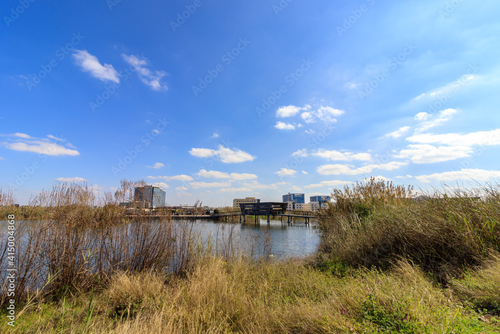 The artificial ecological lake in Hod Hasharon Park, Israel The artificial ecological lake in Hod Hasharon Park, Israel