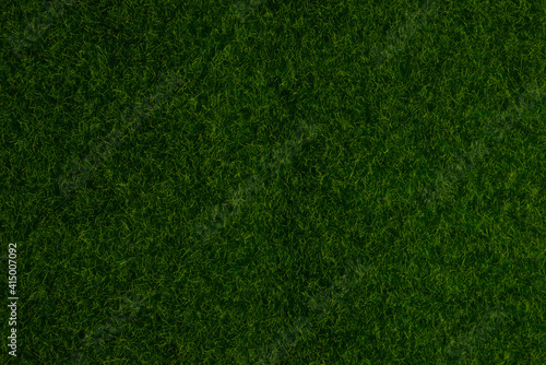 Green lawn background. Green grass.