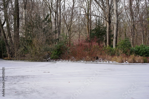 Wallpaper Mural Weiße winterliche Wasserlandschaft im Großen Tiergarten Berlin Torontodigital.ca