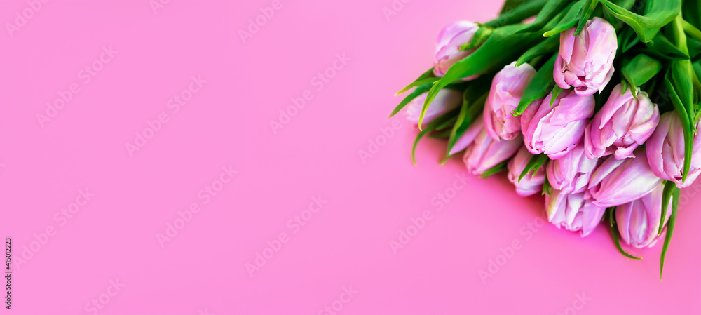 Spring Banner. A bunch of pink tulips from top with space for text. Flatlay