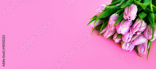 Spring Banner. A bunch of pink tulips from top with space for text. Flatlay