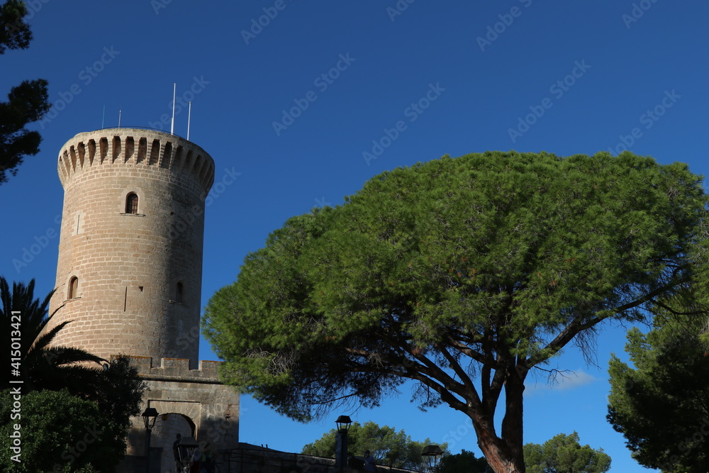 Castillo de Bellver. Torre de L'Homenatge, con un pino y fono de cielo azul.
