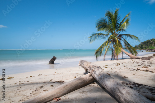 Caribbean beach with palm in Cahuita, Costa Rica
