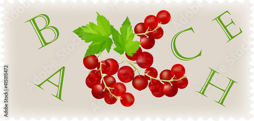 Three sprigs of red currant with inscriptions of vitamins that are in it 