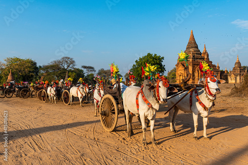 Colouful decorated ox carts, Bagan (Pagan) photo