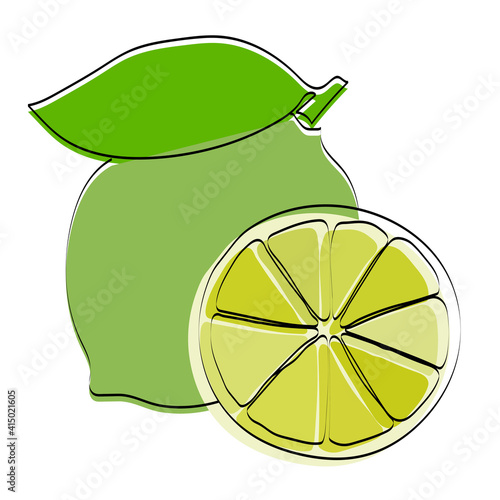 Silhouette of a fruit. Lime. Vector illustration.