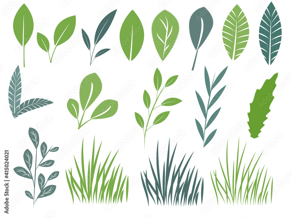 Set of green leaves, tree branches and grass isolated on white. Vector illustration