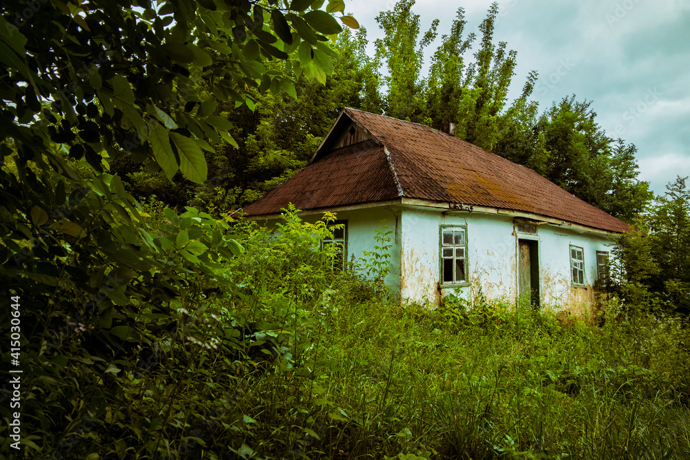 Abandoned clay house in a Ukrainian village. Old shack in the thicket