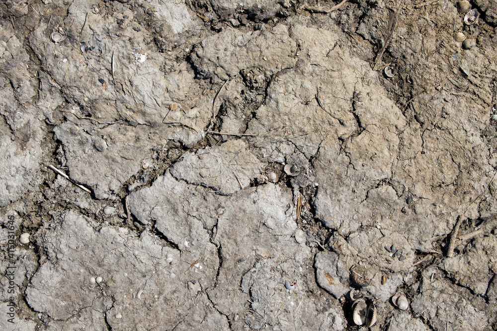 Surface of cracked dry soil with a high salt content Surface of cracked dry soil with a high salt content