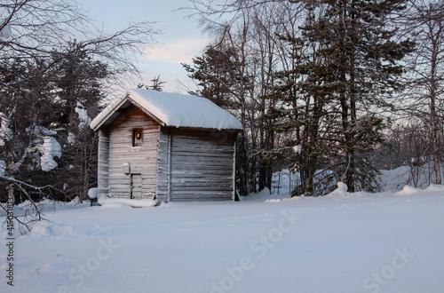 Small wooden house on the edge of the winter forest