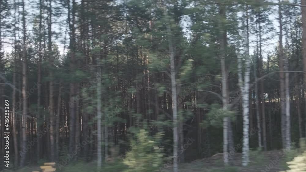 Moving scenery of trees against beautiful sky. Train view of forest at sunset. Moving scenery of trees against beautiful sky. Train view of forest at sunset.