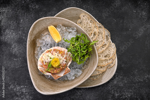 Salmon tartare with avocado, bread chips and lemon, on a plate, on a dark background, on an icy crash