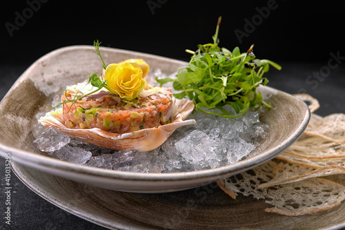 Salmon tartare with avocado, bread chips and lemon, on a plate, on a dark background, on an icy crash