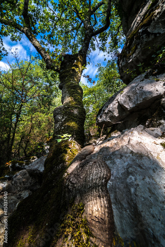 Hiking Trail, Ardeche Region, France photo