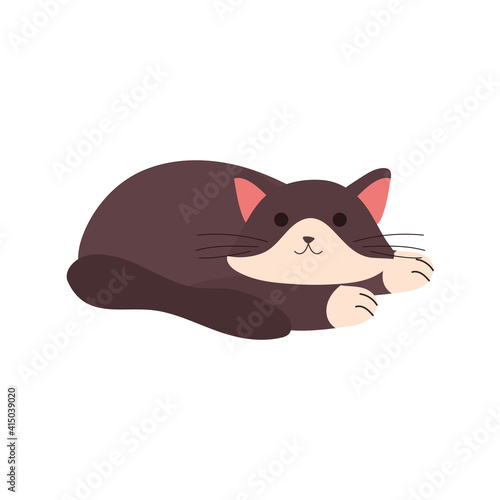 cute little cat feline sleeping character