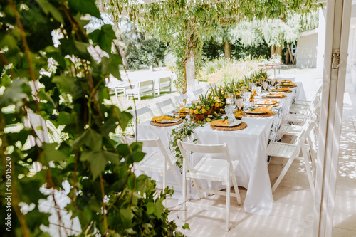 High angle of elegant table served with compositions of lemons and empty tableware prepared for banquet in summer garden photo