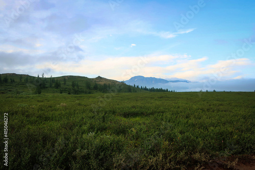 Bright summer landscape of Polar Ural mountains near Sob station, Yamalo-Nenets Autonomous Region, Russia © free2trip