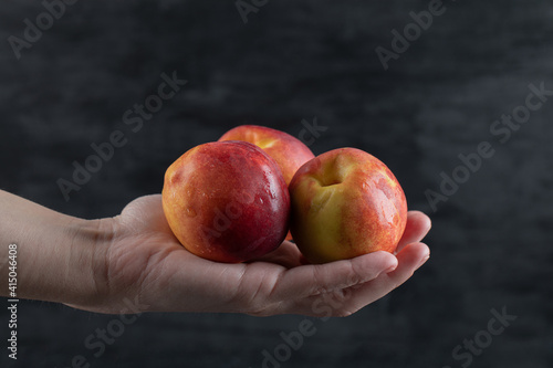 A farmer holding red peaches inside his palm