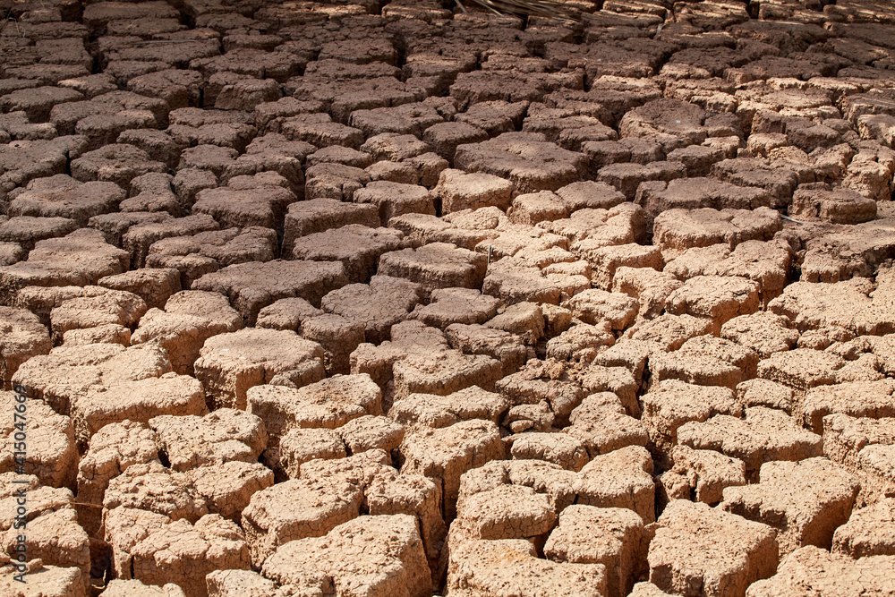 Ταπετσαρία Dried, cracked soil in a desert oasis near Abu Dhabi, UAE