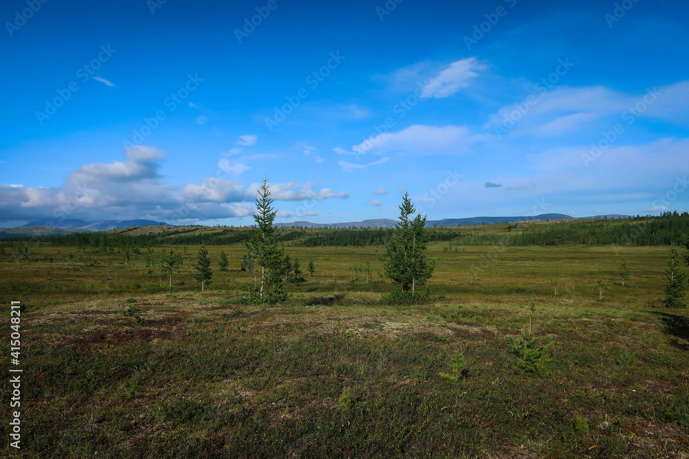 Landscape of Polar Ural mountains by summer near Sob River and Kharp village, Russia Landscape of Polar Ural mountains by summer near Sob River and Kharp village, Russia