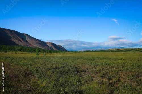Landscape of Polar Ural mountains by summer near Sob River and Kharp village  Russia