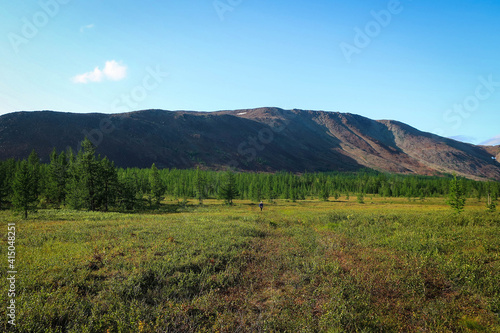 Landscape of Polar Ural mountains by summer near Sob River and Kharp village, Russia © free2trip