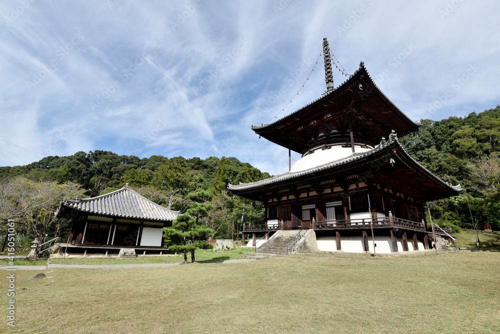 根来寺　大塔と大師堂　和歌山県岩出市