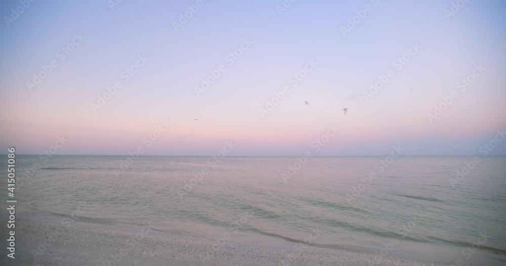 0021 PELICANS IN FLIGHT TWILIGHT 4K .mov
0021 PELICANS IN FLIGHT TWILIGHT 4K .mov