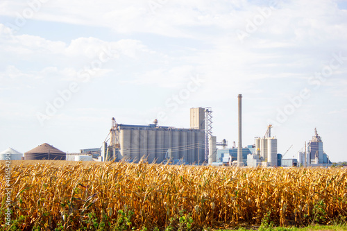 corn field and silos with blue sky © Gene