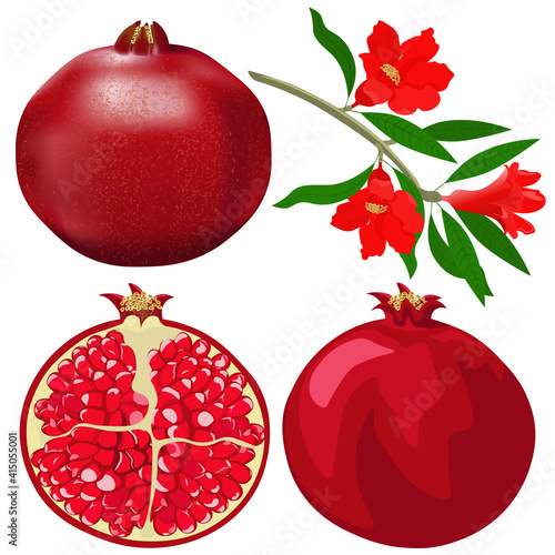 Pomegranate fruits and flowers, isolated on white background. Vector, clipart.