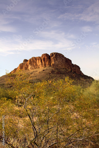 Arizonian Landscape photo