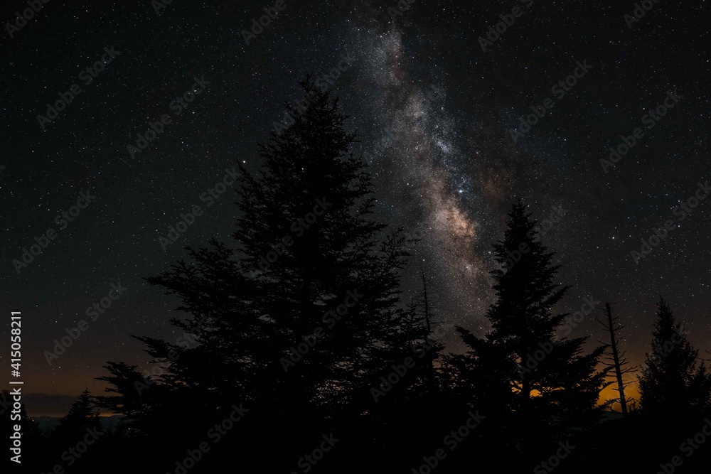 Milky Way Silhouette