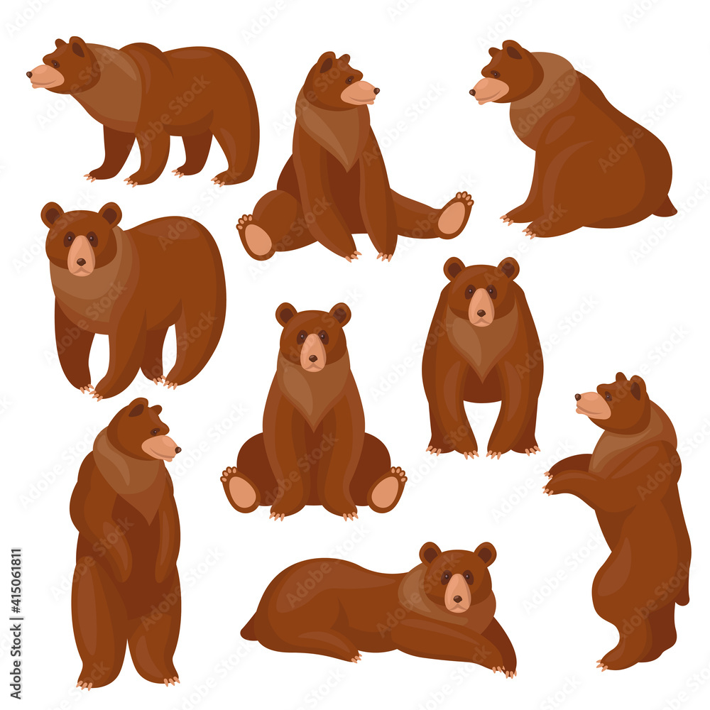 Brown bears set. Different views and poses of cute cartoon grizzly ...