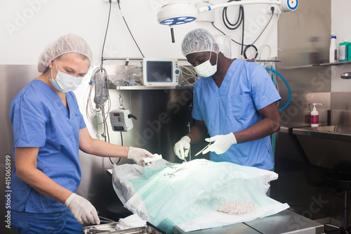 Proffesional veterinarians in uniform doing operation in a veterinary clinic