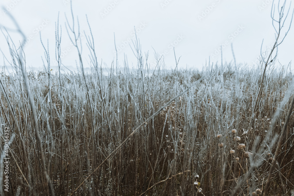 Fototapeta premium Lake Waco in Waco, Texas during winter storm Uri in February, 2021