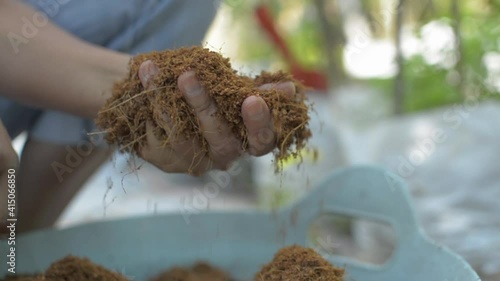 Hand of female gardener holding and touching coconut shell fluff for testing the quality. Preparing for planting. Organic cultivation.