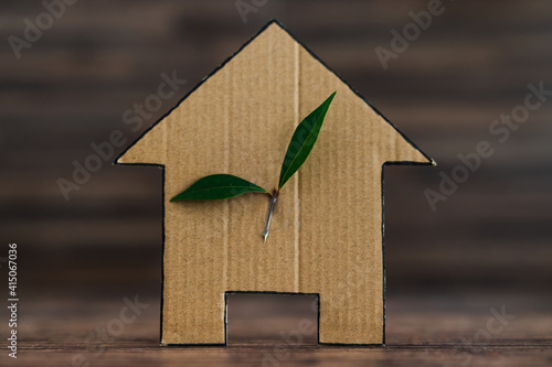 green home and energy efficiency, ecological house icon with leaves on it on wooden background photo