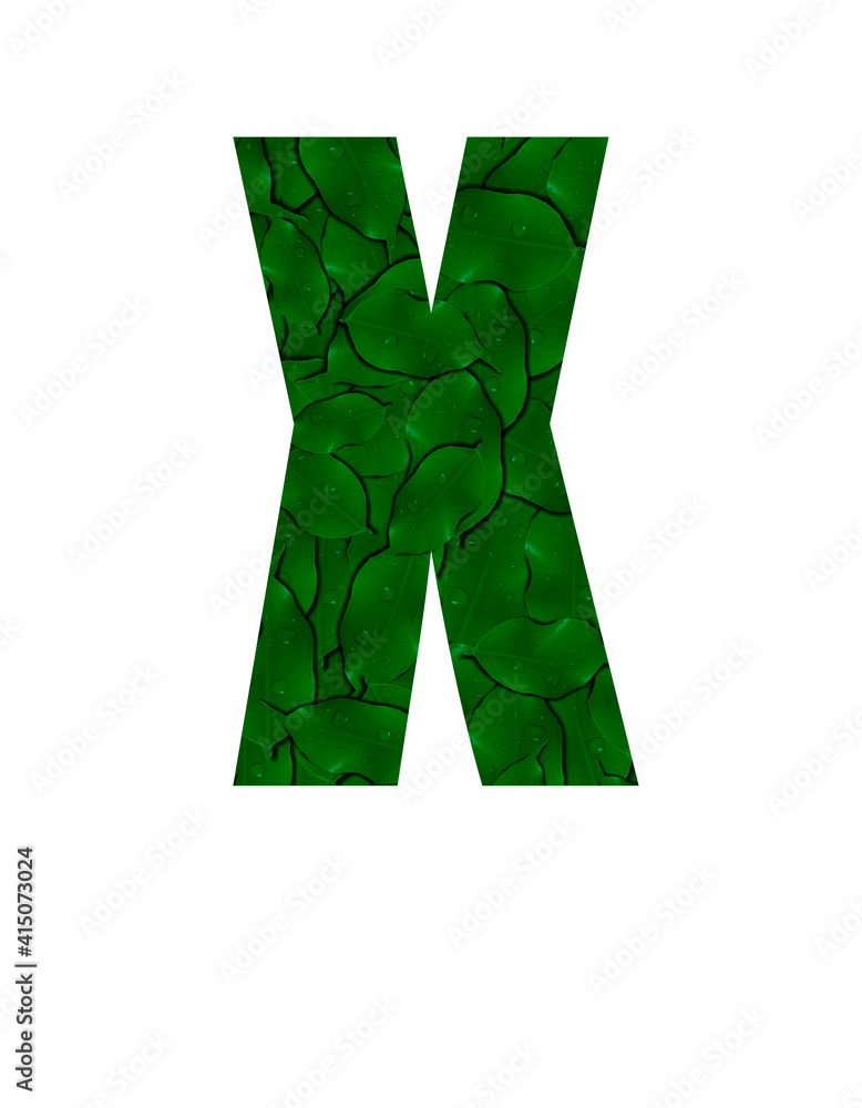 Letter X of the alphabet with a photograph of green leaves with water drops. Letter X made from green leaves isolated on white Photo. Alphabet symbols with green plant pattern texture inside