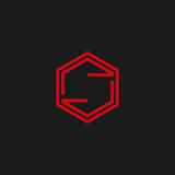 Stylish modern S Logo Design for business